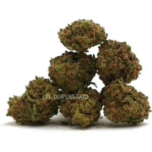 Royal Gorilla 👑🦍