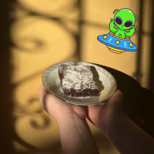 Brownies Fudgy 12/10