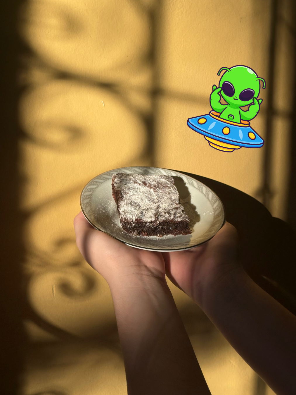 Brownies Fudgy 12/10